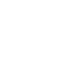 MAAE.png